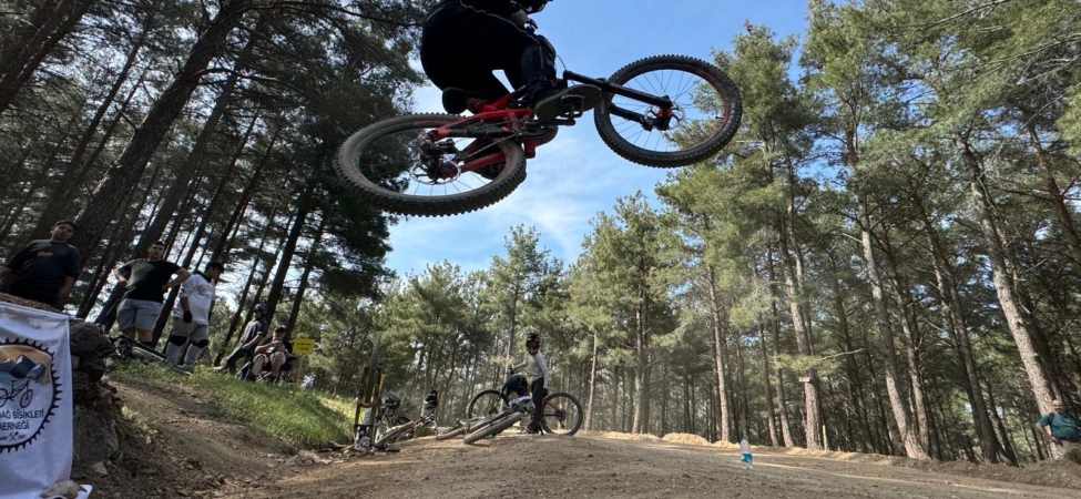 12.05.2026_310c960f-3a92-43c2-a383-e800750ac0b0