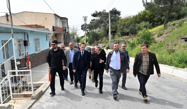 BEN_2553