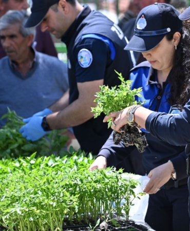 Büyükşehir’den Salihlili Üreticilere 34 Bin Sebze Fidesi (2)
