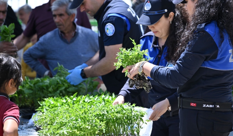 Büyükşehir’den Salihlili Üreticilere 34 Bin Sebze Fidesi (2)