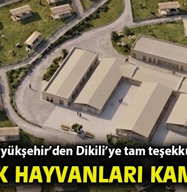 buyuksehir-den-dikili-ye-tam-tesekkullu-sokak-hayvanlari-kampusu-479