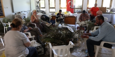 Kozalar Berekete Dönüştü (3)