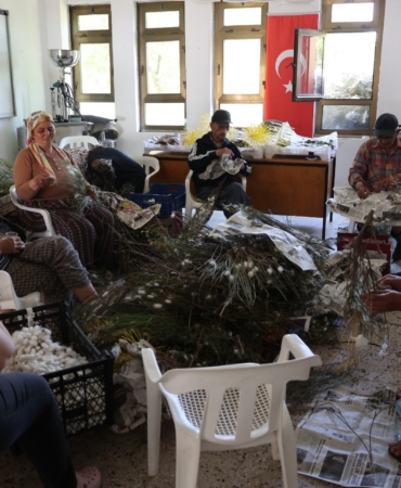 Kozalar Berekete Dönüştü (3)