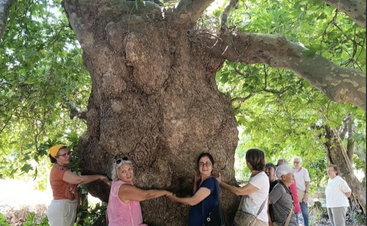Tarihin izinde bir gün: Emeklilerden Seferihisar gezisine tam not