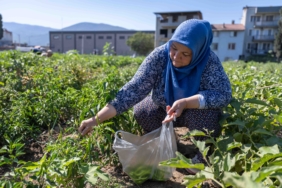 Toprağa dokunan kadınlar, Bornova’da geleceği yeşertiyor
