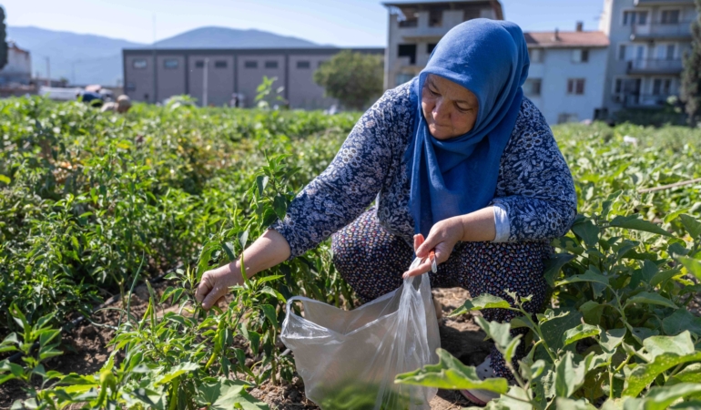 Toprağa dokunan kadınlar, Bornova’da geleceği yeşertiyor