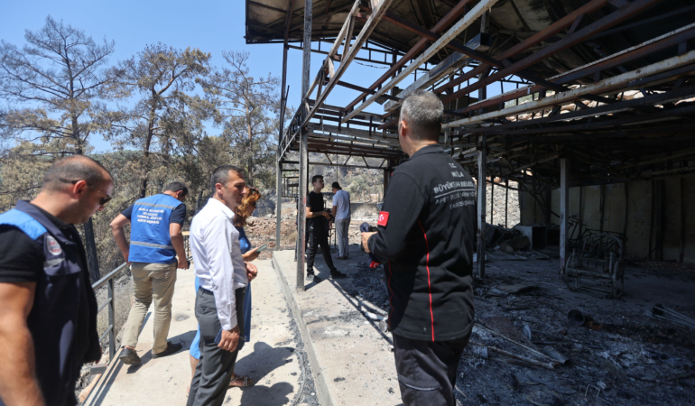 Muğla Büyükşehir’den Yangın Bölgesinde Kapsamlı Hasar Tespiti