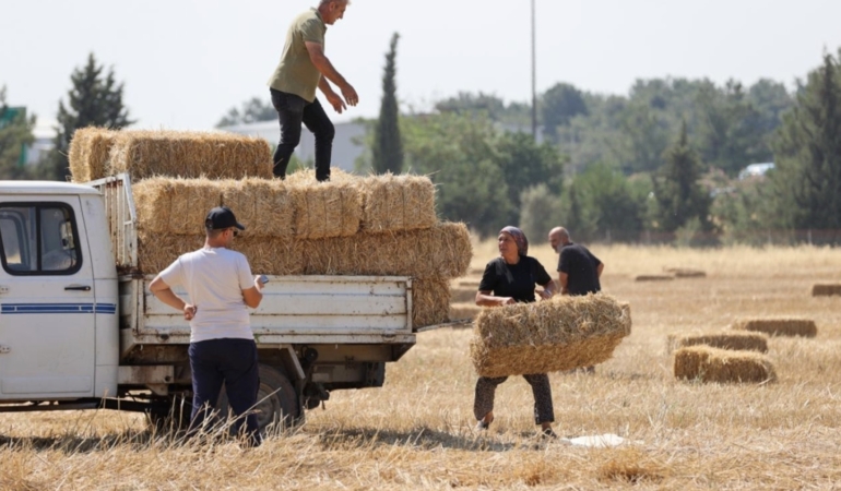 Buca Belediyesi’nden hayvancılığa can suyu