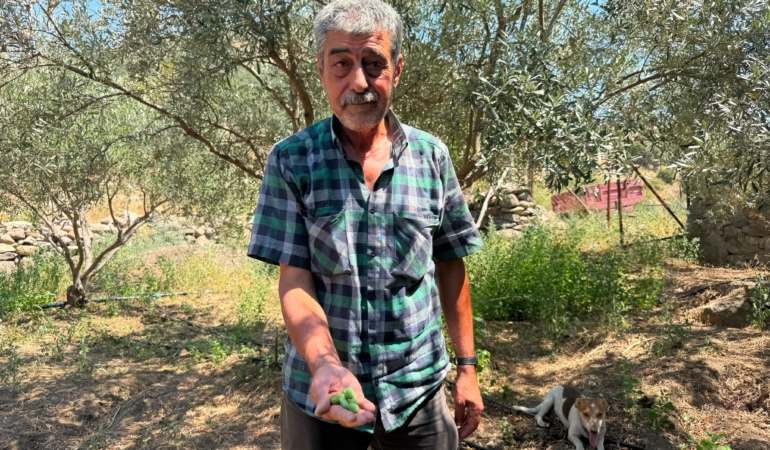Menemen Belediyesi’nden tarıma asırlık hizmet!