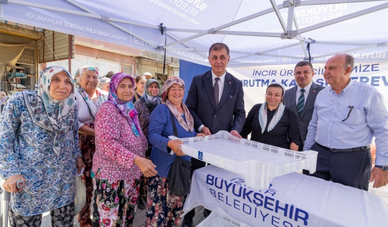 İlk dağıtım Tire ve Torbalı’da    İzmir Büyükşehir Belediyesi’nden üreticiye kerevet desteği