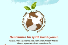 bokaşi