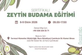 Buca_Belediyesi_Zeytin_Eğitim