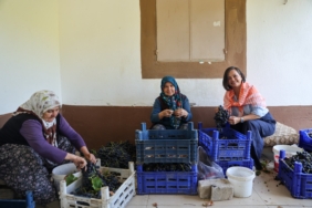 Kavacık Üzüm Festivali 19-20 Eylül (3)