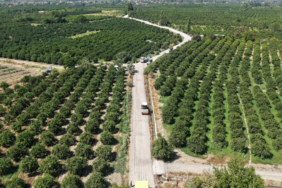 Köyceğiz’de 7 Güzergâhta Yol Mesaisi (3)