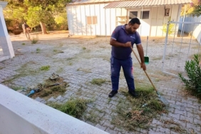 Menderes’te Yabani Otla Mücadele Sürüyor (8)