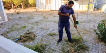 Menderes’te Yabani Otla Mücadele Sürüyor (8)
