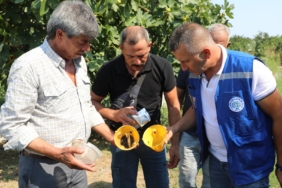 Muğla’da Üreticinin Emeğine Çevre Dostu Koruma (5)