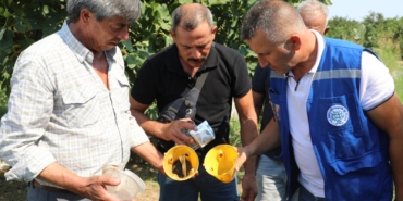 Muğla’da Üreticinin Emeğine Çevre Dostu Koruma (5)