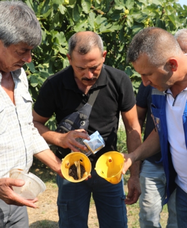Muğla’da Üreticinin Emeğine Çevre Dostu Koruma (5)