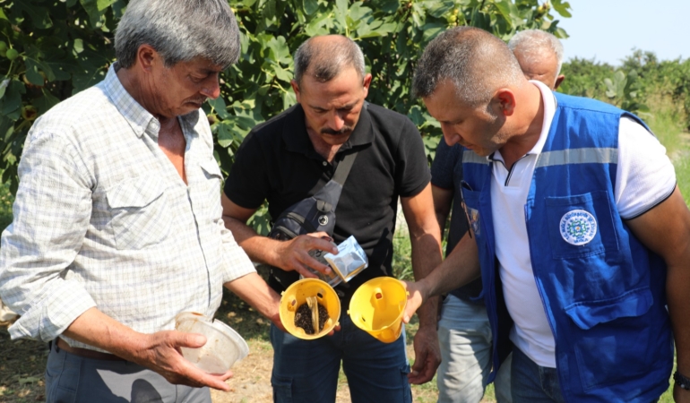 Muğla’da Üreticinin Emeğine Çevre Dostu Koruma (5)