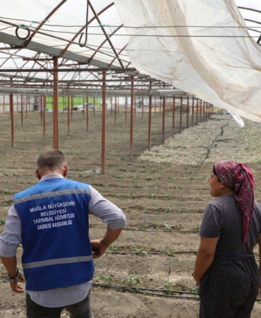 Seydikemer’de Yangının Yaraları Bir Günde Sarılmaya Başlandı (4)