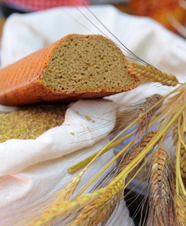 ölmeyen ekmek karakılçık