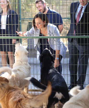 Uzundere Hayvan Bakımevive yeni Kedi Tedavi Merkezi (6)